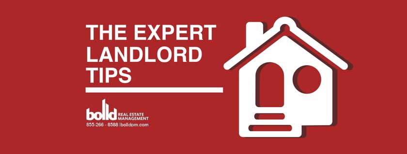 the-expert-landlord-tips